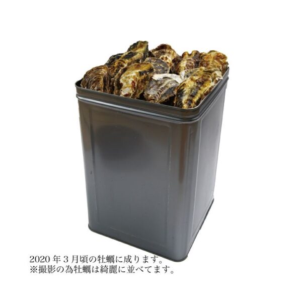 あす楽 牡蠣 殻付き 半缶 約5kg 一斗缶 約10kg 日生 ひなせ カキ 家庭用 訳あり 加熱用 瀬戸内海