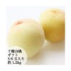 予約受付中 桃 白桃 千種白鳳 ギフト お中元 家庭用 訳あり 3玉入り 約800g 5-6玉 約1.5kg 取り寄せ 岡山県産
