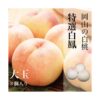 kk_peach-hakuho-008_01 販売中 桃 白桃 岡山 白鳳 お中元 ギフト 家庭用 訳あり 大玉 中玉 岡山県産(一宮) 送料無料