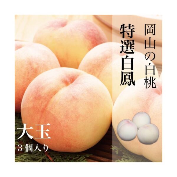 kk_peach-hakuho-008_01 販売中 桃 白桃 岡山 白鳳 お中元 ギフト 家庭用 訳あり 大玉 中玉 岡山県産(一宮) 送料無料