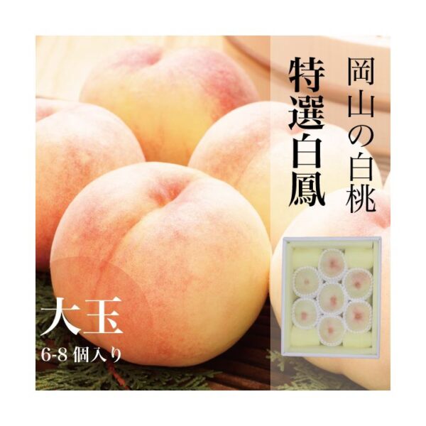 kk_peach-hakuho-008_03 販売中 桃 白桃 岡山 白鳳 お中元 ギフト 家庭用 訳あり 大玉 中玉 岡山県産(一宮) 送料無料