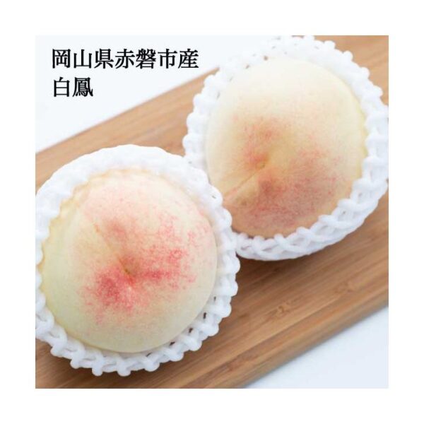 kk_peach-hakuho-akaiwa-01_01 予約受付中 桃 白桃 白鳳 ギフト お中元 家庭用 訳あり 約800g 3玉入り 約1.5kg 5-6玉入り 農家直送 もぎたて発送 取り寄せ 岡山県赤磐市生産