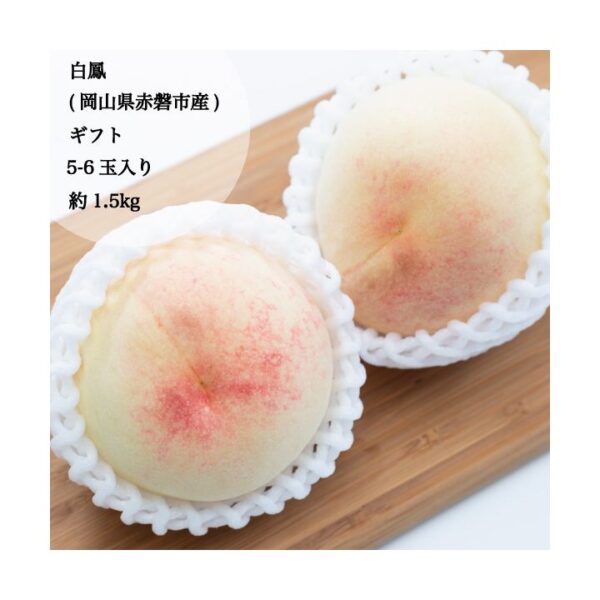 kk_peach-hakuho-akaiwa-01_03 予約受付中 桃 白桃 白鳳 ギフト お中元 家庭用 訳あり 約800g 3玉入り 約1.5kg 5-6玉入り 農家直送 もぎたて発送 取り寄せ 岡山県赤磐市生産