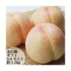 桃 本白桃 3玉入り 約800g〜 ギフト・家庭用 岡山県産