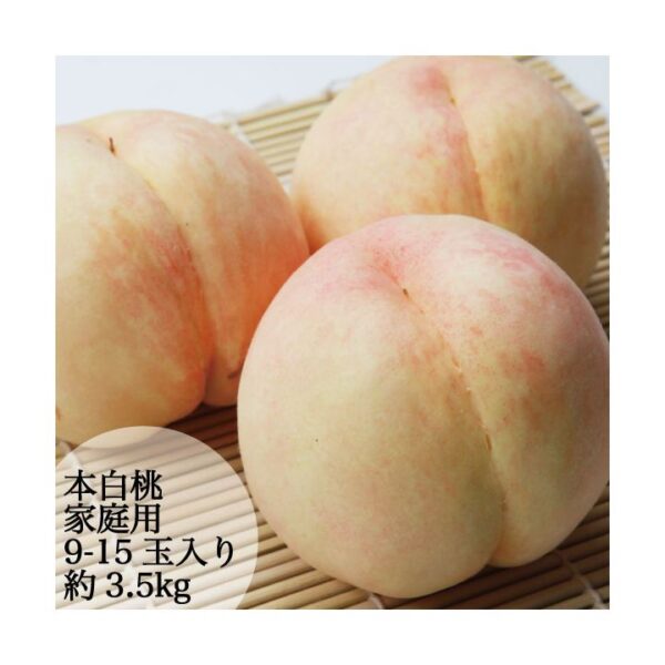 桃 本白桃 3玉入り 約800g〜 ギフト・家庭用 岡山県産