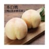 桃 本白桃 3玉入り 約800g〜 ギフト・家庭用 岡山県産