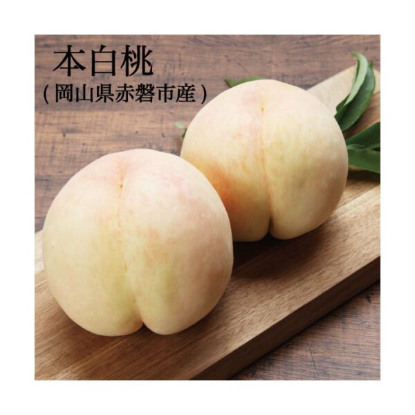桃 本白桃 3玉入り 約800g〜 ギフト・家庭用 岡山県産