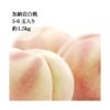 kk_peach-kanouiwahakuto-001_02 予約受付中 桃 白桃 加納岩白桃 ギフト 家庭用 訳あり 約1.2kg 5-6玉入り 農家直送