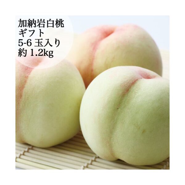 kk_peach-kanouiwahakuto-001_03 予約受付中 桃 白桃 加納岩白桃 ギフト 家庭用 訳あり 約1.2kg 5-6玉入り 農家直送
