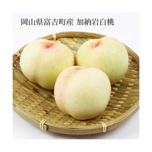 kk_peach-kanouiwahakuto-tomiyosh001_01 予約受付中 桃 白桃 加納岩白桃 ギフト お中元 家庭用 訳あり 約700g 3玉入り 1玉 約200-250g 農家直送 もぎたて発送 取り寄せ 岡山県富吉町産 早生
