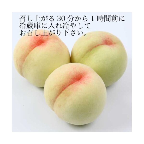 kk_peach-kanouiwahakuto-tomiyosh001_02 予約受付中 桃 白桃 加納岩白桃 ギフト お中元 家庭用 訳あり 約700g 3玉入り 1玉 約200-250g 農家直送 もぎたて発送 取り寄せ 岡山県富吉町産 早生