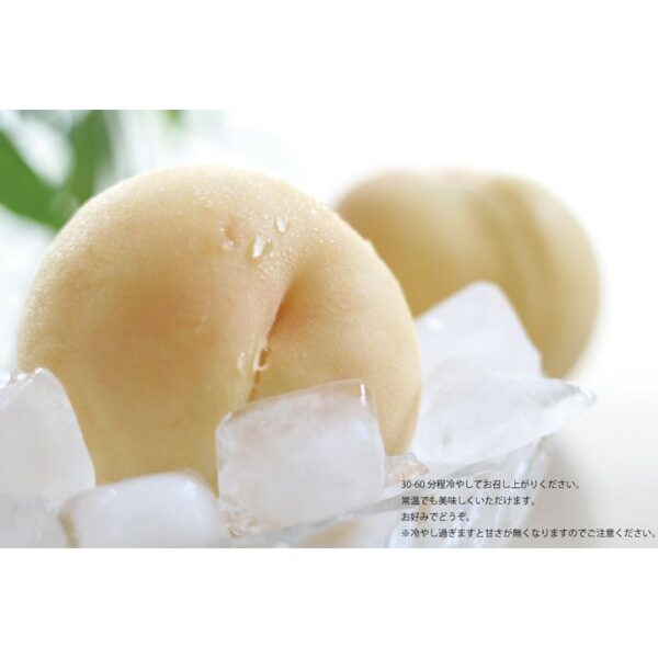 kk_peach-shimizu-012_02 特選 清水白桃 大玉 5-6玉入り(1玉約270-300g) 岡山県一宮産