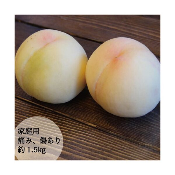 kk_peach-shimizu-tomiyoshi-003_03 予約受付中 桃 白桃 お中元 ギフト 清水白桃 大玉 希少 名産品 岡山県富吉産