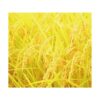kk_rice-hinohikari-001_01 令和7年産 米 白米 ヒノヒカリ 晴れの国岡山 岡山の米 あっさり バランスが良くどんな料理にも