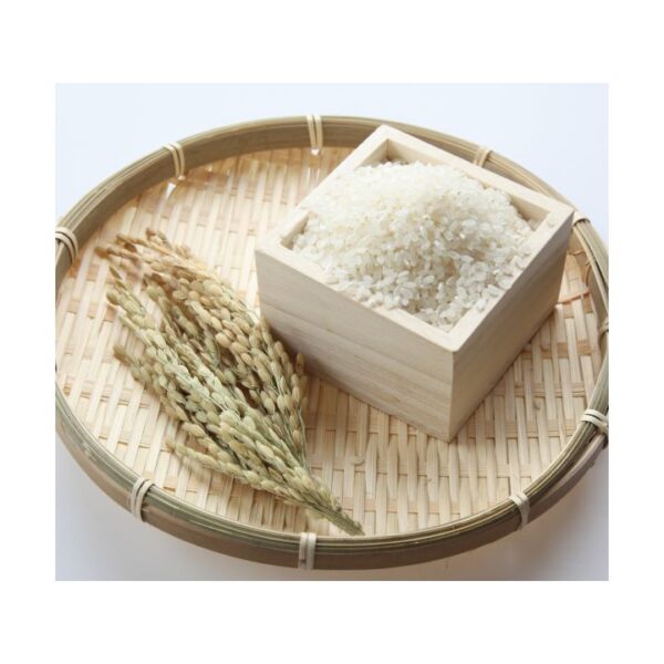 kk_rice-kinumusume-001_01 きぬむすめ 白米 精米 晴れの国 岡山県産 ふっくらもちもち 農家直送 食味ランク特A取得