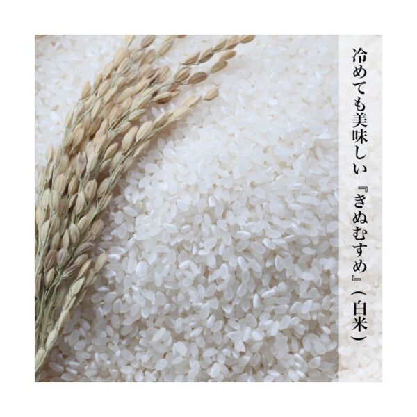 kk_rice-kinumusume-001_02 きぬむすめ 白米 精米 晴れの国 岡山県産 ふっくらもちもち 農家直送 食味ランク特A取得