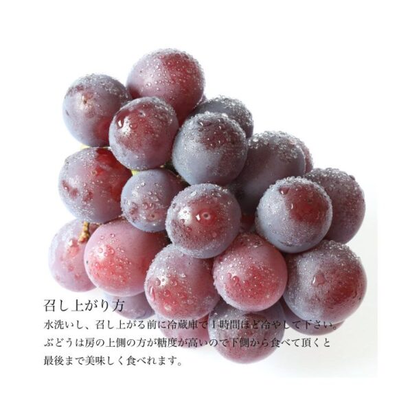 kk_shine-mascut-pione-001_02 ギフト シャインマスカット ニューピオーネ セット 2kg 岡山県勝央町産 種なし