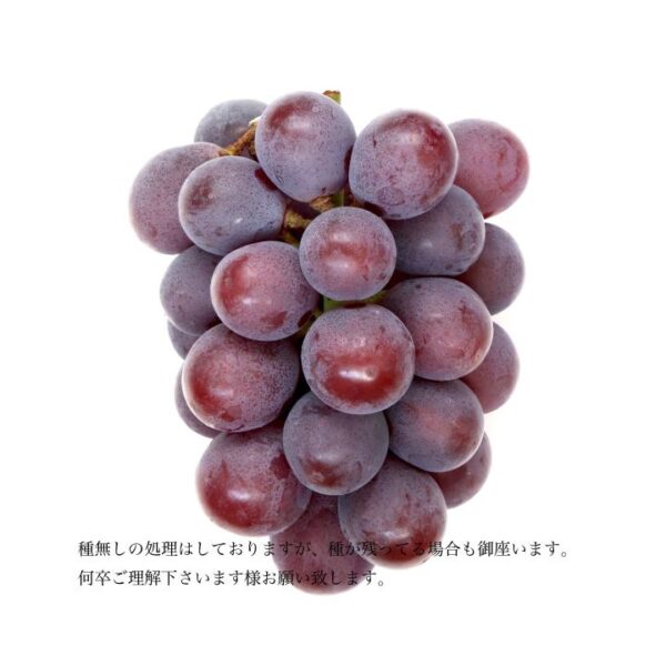 kk_shine-mascut-pione-001_03 ギフト シャインマスカット ニューピオーネ セット 2kg 岡山県勝央町産 種なし