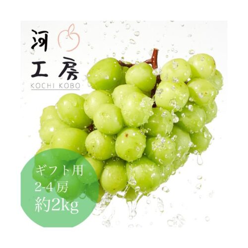 ギフト シャインマスカット 2-4房入り 岡山県勝央町産 皮ごと食べれる 種なし