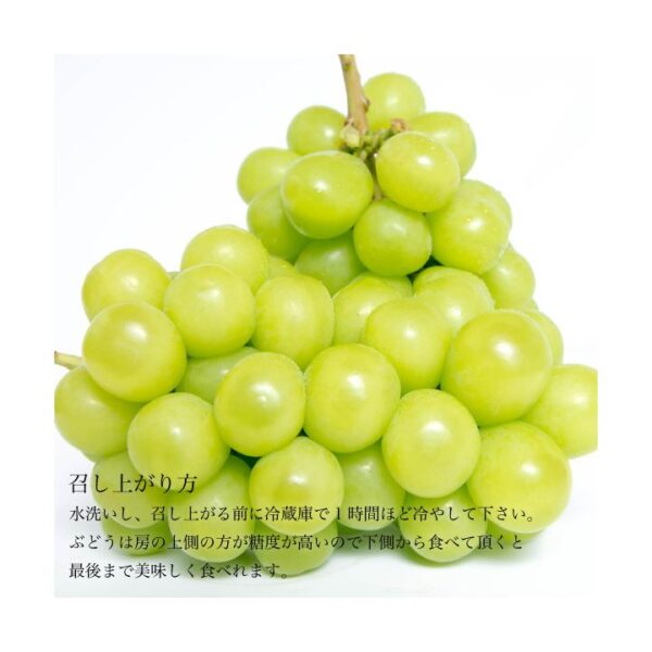 kk_shine-mascut-shoo-001_02 ギフト シャインマスカット 2-4房入り 岡山県勝央町産 皮ごと食べれる 種なし