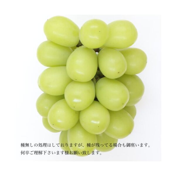 kk_shine-mascut-shoo-001_03 ギフト シャインマスカット 2-4房入り 岡山県勝央町産 皮ごと食べれる 種なし
