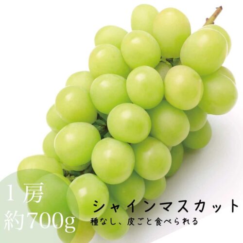 kk_shine-muscat-001_01 シャインマスカット 本場岡山 1房 約700g 種無し 皮ごと 農家直送