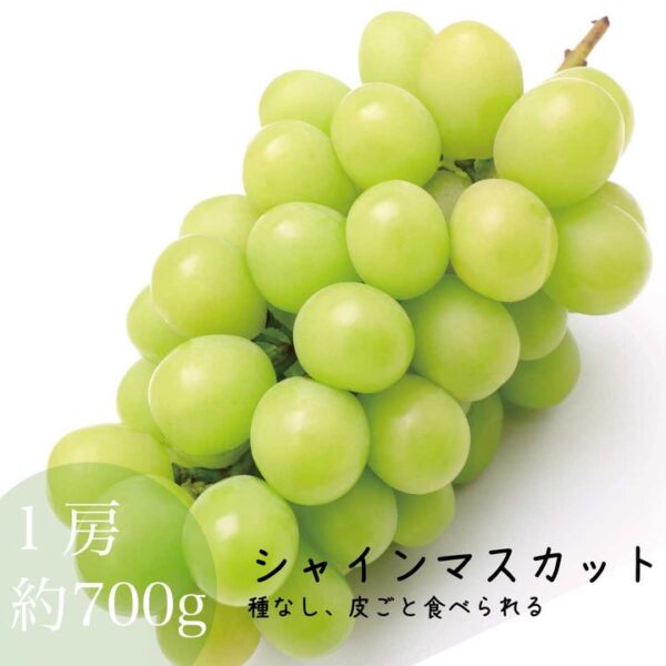 シャインマスカット ギフト 岡山 2房入り 約1.7kg 種無し 皮ごと