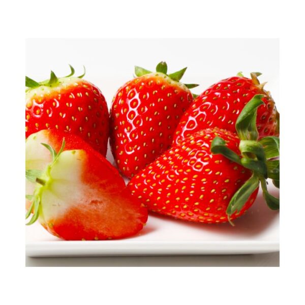 kk_starknight-gift15-1_01 ギフト スターナイト 苺 いちご イチゴ 1パック15個入り 約350g strawberry 産地直送 お取り寄せ