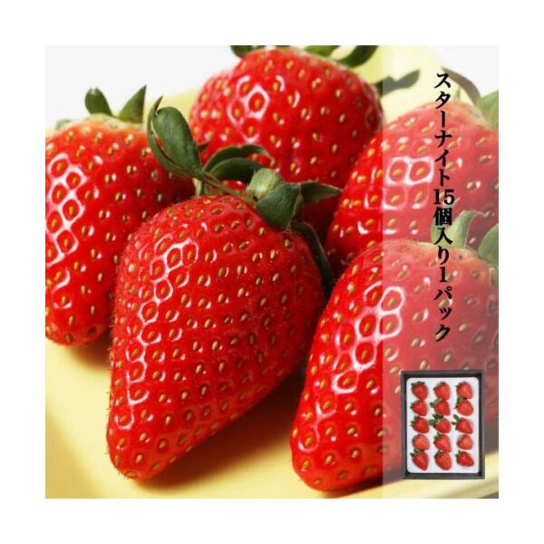 kk_starknight-gift15-1_02 ギフト スターナイト 苺 いちご イチゴ 1パック15個入り 約350g strawberry 産地直送 お取り寄せ