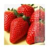 kk_starknight-gift15-1_03 ギフト スターナイト 苺 いちご イチゴ 1パック15個入り 約350g strawberry 産地直送 お取り寄せ