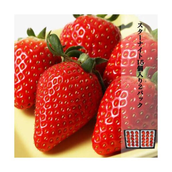 kk_starknight-gift15-1_03 ギフト スターナイト 苺 いちご イチゴ 1パック15個入り 約350g strawberry 産地直送 お取り寄せ