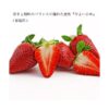 kk_strawberry-yayoihime-003_02 ギフト いちご やよいひめ 苺 イチゴ 1パック 12個入り 約350g 晴れの国 岡山