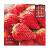 kk_strawberry-yayoihime-003_03 ギフト いちご やよいひめ 苺 イチゴ 1パック 12個入り 約350g 晴れの国 岡山