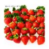 kk_strawberry006-3_02 ギフト いちご おいCベリー 苺 イチゴ 1パック 15個入り 約350g 岡山県産