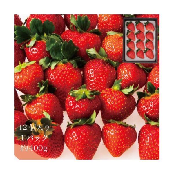 kk_strawberry006-3_03 ギフト いちご おいCベリー 苺 イチゴ 1パック 15個入り 約350g 岡山県産