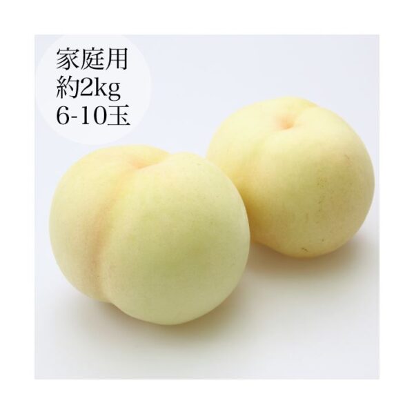 kk_yamato-peach-003_01 予約受付中 桃 白桃 大和白桃 お中元 ギフト 大玉 岡山 希少 伝説の白桃(富吉)