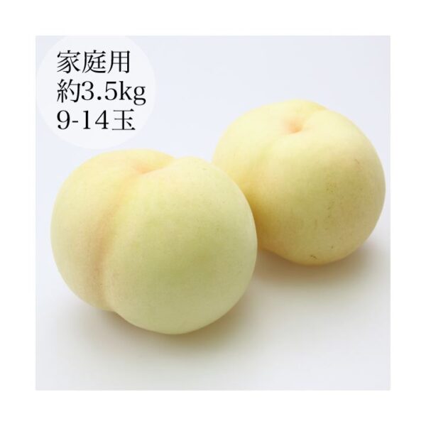kk_yamato-peach-003_02 予約受付中 桃 白桃 大和白桃 お中元 ギフト 大玉 岡山 希少 伝説の白桃(富吉)