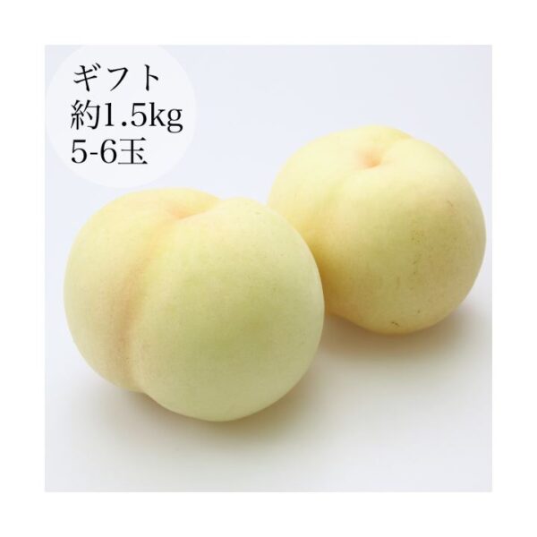 kk_yamato-peach-003_03 予約受付中 桃 白桃 大和白桃 お中元 ギフト 大玉 岡山 希少 伝説の白桃(富吉)