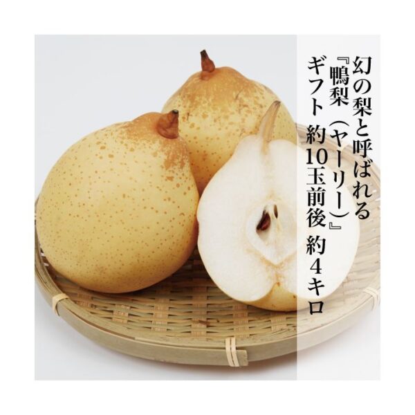 kk_yari-pear-001_02 ヤーリー(鴨梨) 全国的にも珍しい梨 約10-11玉入り 約4kg 岡山県産