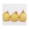 kk_yari-pear-001_03 ヤーリー(鴨梨) 全国的にも珍しい梨 約10-11玉入り 約4kg 岡山県産