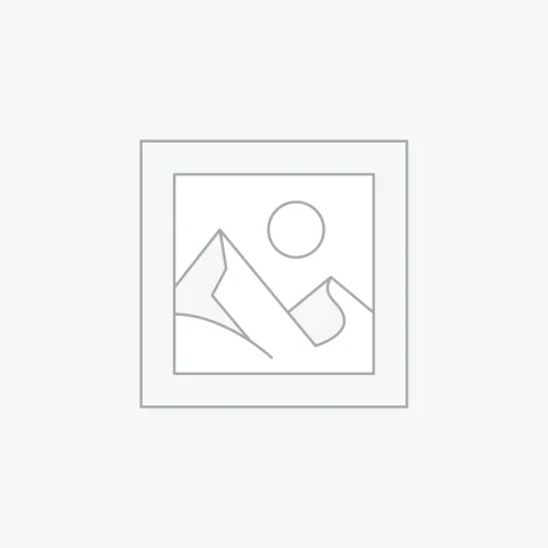 【送料無料】ロマネスコ 2-3株 合計1kg-2kg 野菜 岡山県産